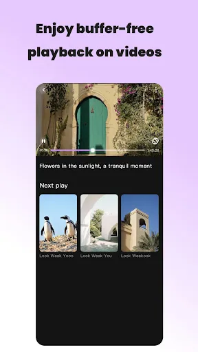 Vidzy-Well Organized | Permainan | XWorld