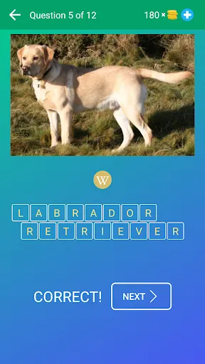 Dog Quiz: Guess the Breed Game | Games | XWorld Dog Quiz: Guess the Breed Game | Games | XWorld
