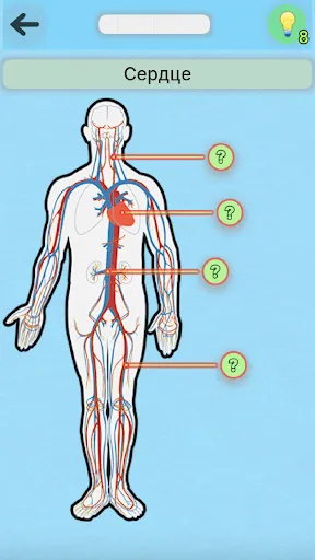 Игра Анатомия | Игры | XWorld