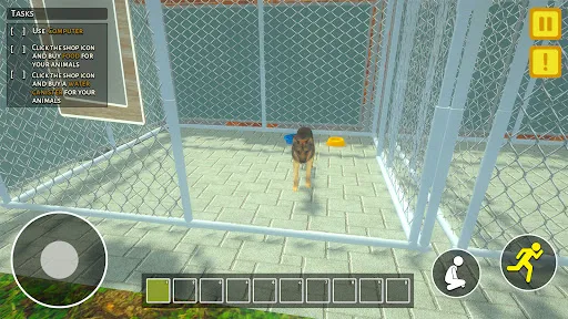 Animal Shelter Pet World Life | 游戏 | XWorld