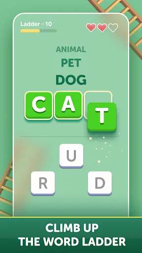 Wordy - Daily Wordle Puzzle | Permainan | XWorld