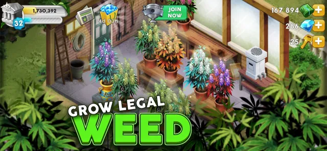 Hempire - Weed Growing Game | Games | XWorld