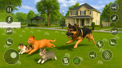 Permainan simulator kucing | Permainan | XWorld