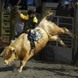 XWorld | Bull Riding Challenge 2