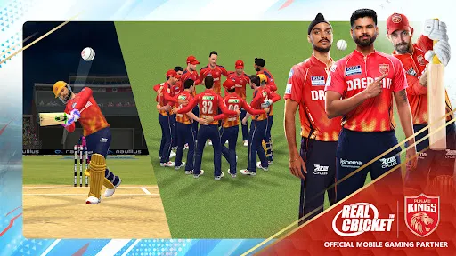 Real Cricket Swipe | Games | XWorld