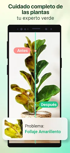Plant Parent - Guía de cuidado | juego | XWorld