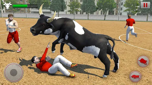 Game Pertarungan Banteng Marah | Permainan | XWorld