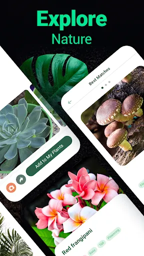 Plantum - Plant Identifier | Games | XWorld