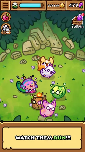 Chichens | เกม | XWorld