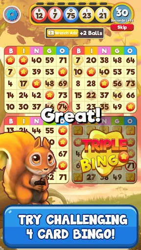 Bingo:  Free the Pets | Games | XWorld