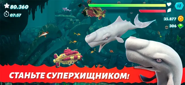 Hungry Shark Evolution: акула | Игры | XWorld