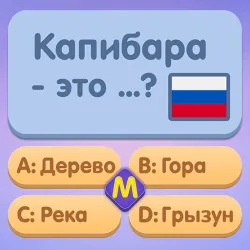 XWorld | Миллионер: Отвечай и выигрывай