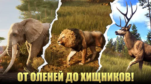 Охотник - Дикий Снайпер | Игры | XWorld