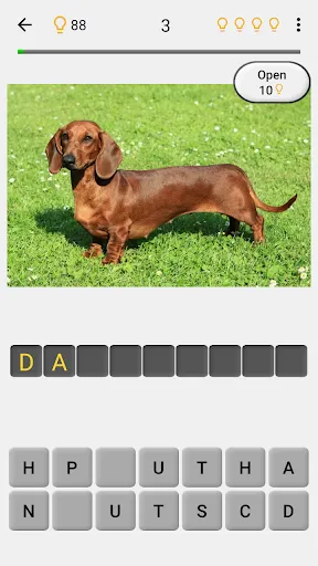 Dogs Quiz - Guess All Breeds! | เกม | XWorld