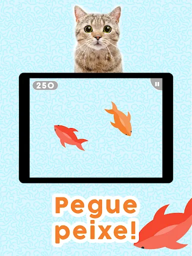 Jogos para gatos! | Jogos | XWorld Jogos para gatos! | Jogos | XWorld