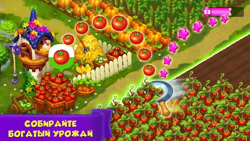 Royal Farm | Игры | XWorld