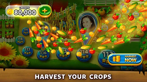 Solitaire Grand Harvest | Games | XWorld