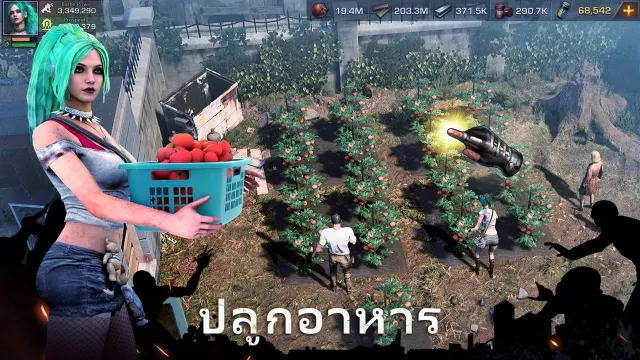 State of Survival: Zombie War | เกม | XWorld