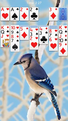 Solitaire | Игры | XWorld Solitaire | Игры | XWorld