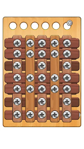 Wood Puzzle Nuts & Bolts | juego | XWorld