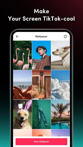 TickTock-TikTok Live Wallpaper | 游戏 | XWorld