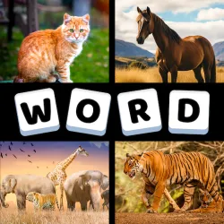 XWorld | 4 Pics 1 Word: Word Guess Game