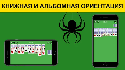 Пасьянс Паук без интернета | Игры | XWorld