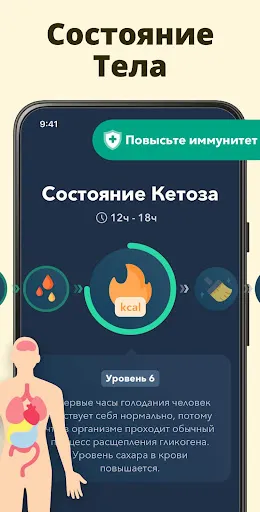 Интервальное Голодание | Игры | XWorld