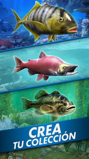 Ultimate Fishing! A pescar | juego | XWorld