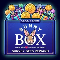 XWorld | Rabbit Line Pay click box