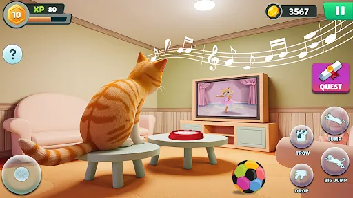Angry Gran VS Naughty Cat Sim | Игры | XWorld