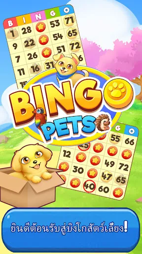 Bingo:  Free the Pets | เกม | XWorld