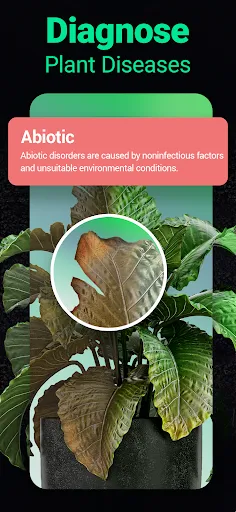 Plantum - Plant Identifier | 游戏 | XWorld