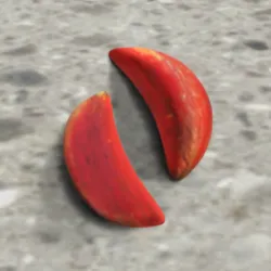 XWorld | 3D擲筊