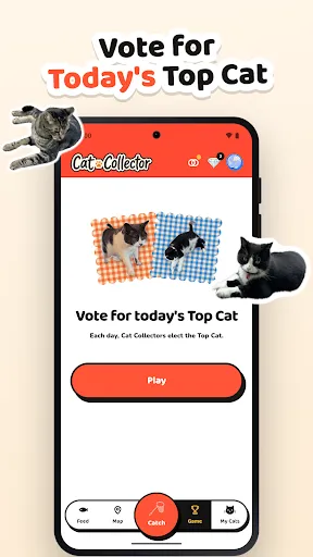 Cat Collector: Catch Real Cats | เกม | XWorld Cat Collector: Catch Real Cats | เกม | XWorld