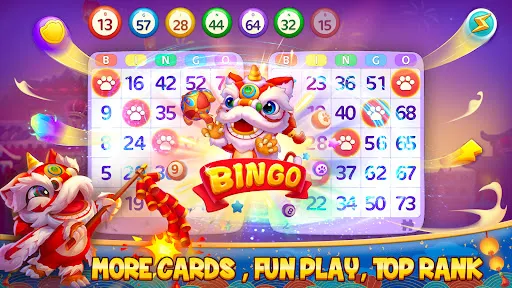 Bingo Wild - Animal BINGO Game | Games | XWorld