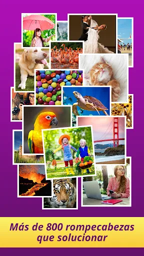 One Clue Crossword | juego | XWorld