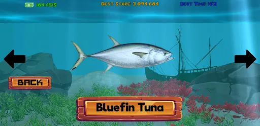 ApexDiver | เกม | XWorld ApexDiver | เกม | XWorld