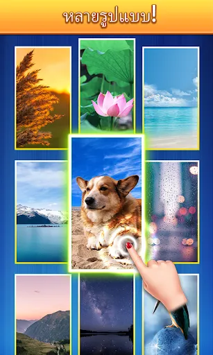 บล็อกตัวเลข | เกม | XWorld