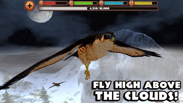Falcon Simulator | Игры | XWorld