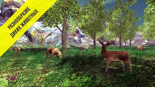 Реальный Грибник - Тихая охота | Игры | XWorld Реальный Грибник - Тихая охота | Игры | XWorld