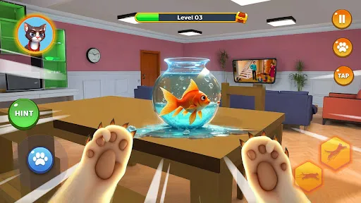 Pet Cat Simulator Cat Games | Игры | XWorld