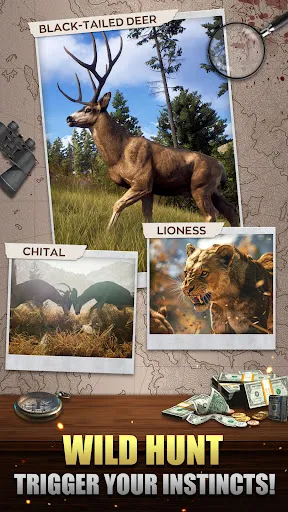 Animal Hunter : Wild Sniper | Permainan | XWorld
