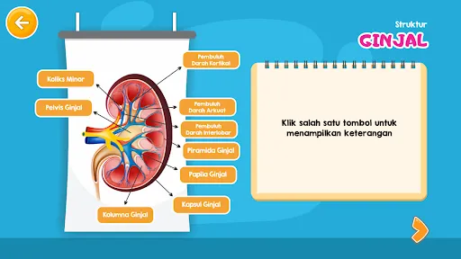 Virtual Lab Sistem Ekskresi | เกม | XWorld