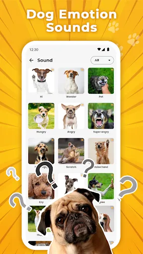 Dog Translator: Trainer | 游戏 | XWorld