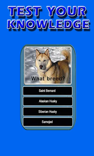 Dog Breeds Trivia Animal Quiz | 游戏 | XWorld