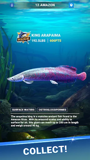 Fishing Travel | Игры | XWorld Fishing Travel | Игры | XWorld