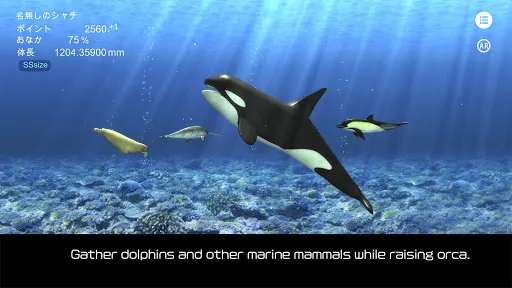 Orca  and marine mammals | Permainan | XWorld