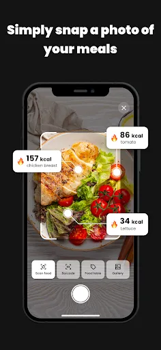 CalDiet - AI Food Scanner | 游戏 | XWorld