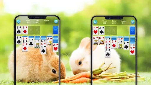 Solitaire | Games | XWorld